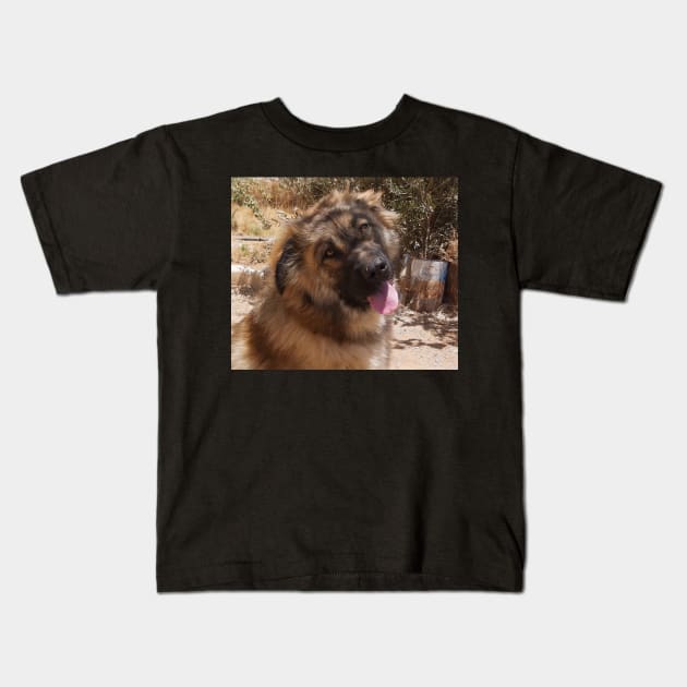 Cute dogs Kids T-Shirt by daghlashassan